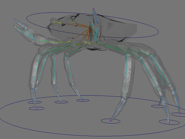 crab animate 3d model - turbosquidcrab.ma by animedia